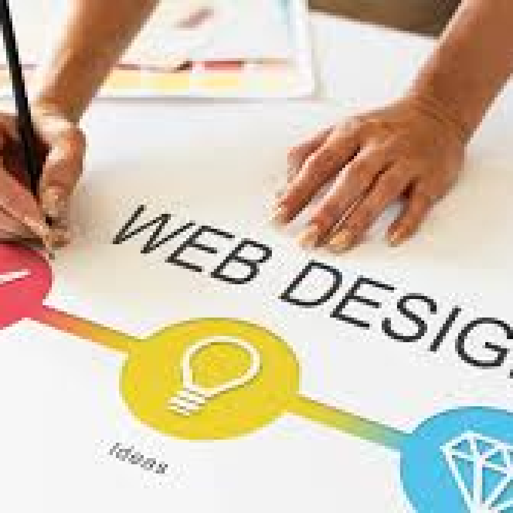 Professional Web Design Basics